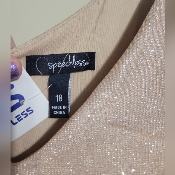 NWT SPARKLE champagne knee length dress size 18 With POCKETS! - Picture 2 of 6